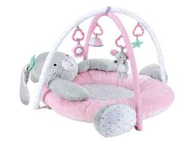 Freecycle Baby Play Mat and Activity Gym