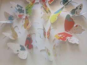 Freecycle Butterfly picture