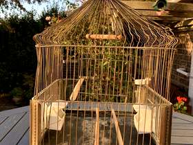 Freecycle Bird Cage