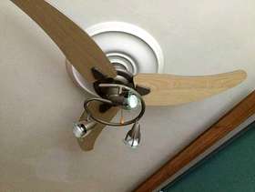 Freecycle Ceiling fan with lights