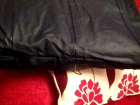 Freecycle Inflatable bed