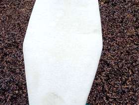 Freecycle Ironing board
