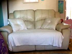 Freecycle Cream Leather Sofa