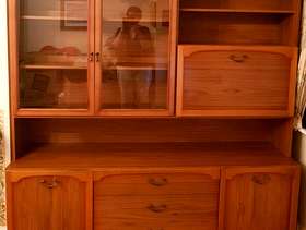 Freecycle Cabinet
