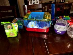 Freecycle Hamster and Cage - Free