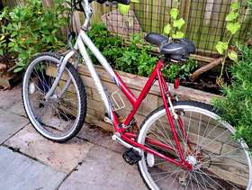 Freecycle Bike