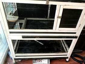 Freecycle Indoor pet hutch