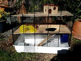 Freecycle Large Hamster Cage