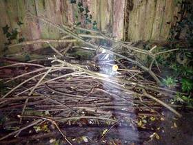 Freecycle Bonfire or wood burner wood - should fit in a ...