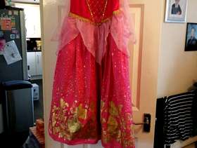 Freecycle Disney dress princess dress up outfits.