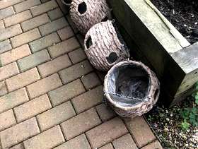 Freecycle Hanging baskets