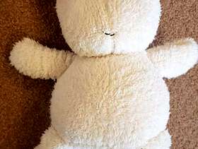 Freecycle Soft Cuddly Bear