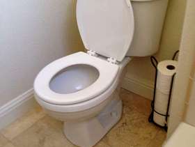 Freecycle American Standard Toilet
