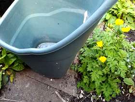 Freecycle Plastic trug/whell barrow.