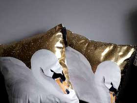Freecycle Swan cushions