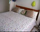 Freecycle King size bed with mattress