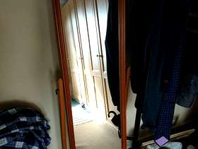 Freecycle Swivel Mirror