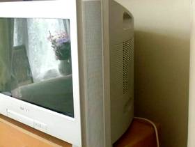 Freecycle Sony TV