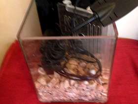 Freecycle Tiny edge fish tank with working light and filter