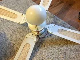 Freecycle Ceiling light with fan