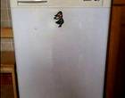 Freecycle Freezer