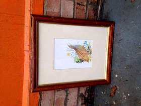 Freecycle Picture of a bird