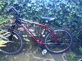 Freecycle Two bikes - need some work