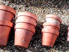 Freecycle 10 teracotta plant pots