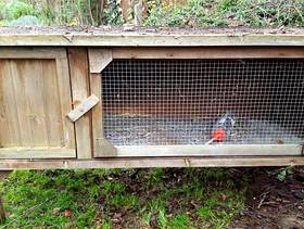 Freecycle Rabbit Hutch