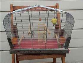 Freecycle Budgerigar cage