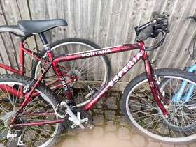 Freecycle Two bicycles M and F
