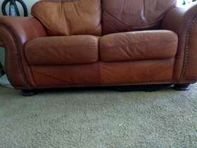 Freecycle Leather love seat