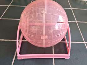 Freecycle Hamster Ball on Stand
