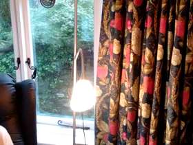 Freecycle Spotlight /Reading lamp