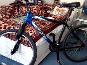 Freecycle Bike