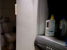 Freecycle Freezer - tall larder