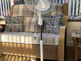 Freecycle Pedestal Fan