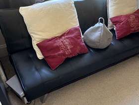 Freecycle IKEA sofa bed