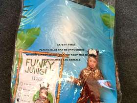 Freecycle Child’s Tiger costume age 9-10