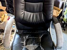 Freecycle Office Chair