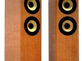 Freecycle Sony Speakers X 2. SS-B4ED