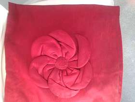 Freecycle Two cushion covers