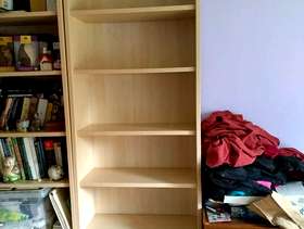 Freecycle Bookcase