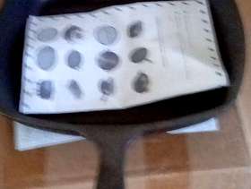 Freecycle Trying pan skillet