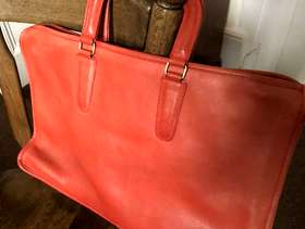 Freecycle Brief case