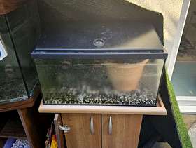 Freecycle Medium Fish tank and base