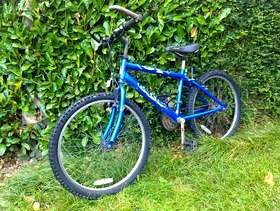 Freecycle Child's Raleigh MAX bicycle