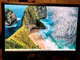 Freecycle Dell 24" HD Monitor Model U2412Mb