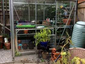 Freecycle Greenhouse 6x4