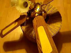 Freecycle Ceiling fan